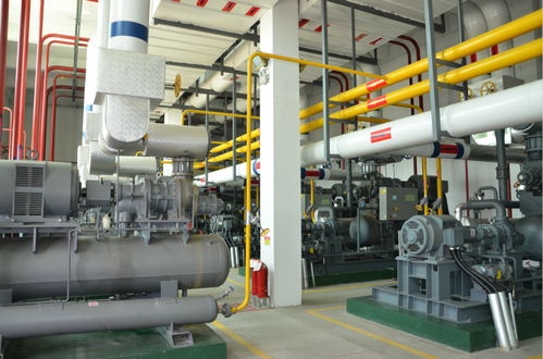 山東春雪食品 科技賦能安全生產