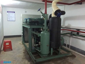 低溫酸奶學問多 制冷設備不能少