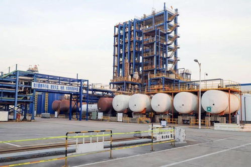 連續8年上榜 排名再升1位