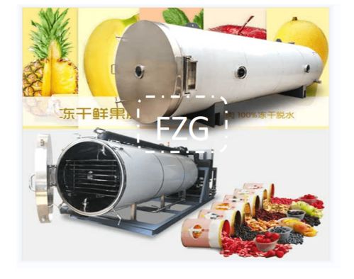 果蔬凍干生產線需投資多少