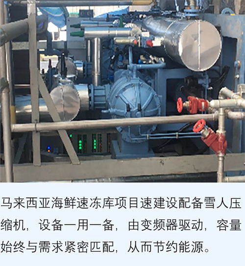 雪人集團亮相越南漁博會 引領水產加工制冷新紀元