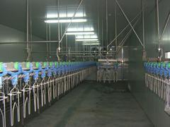 專業(yè)制冷解決方案 雪力制冷工程公司凍庫(kù)安裝服務(wù)與產(chǎn)品展示